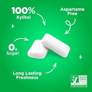 PUR Gum | Aspartame Free Chewing Gum | 100% Xylitol | Natural Spearmint Flavored Gum, 55 Pieces (Pack of 1)