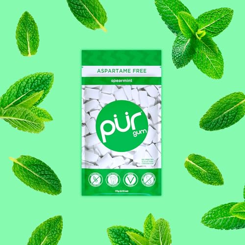 PUR Gum | Aspartame Free Chewing Gum | 100% Xylitol | Natural Spearmint Flavored Gum, 55 Pieces (Pack of 1)