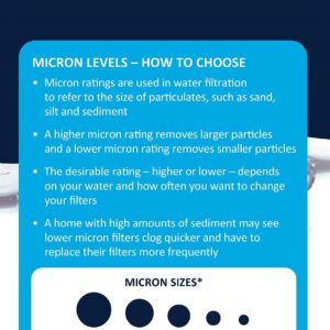 EcoPure EPW2P Pleated Whole Home Replacement Water Filter-Universal Fits Most Major Brand Systems (2 Pack), 2 Count (Pack of 1), White/Blue