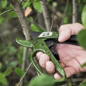 EZ Kut Heavy Duty Pruning Shears Green - Pruners Ratcheting Ratchet Hand Pruner (Green Pruner)