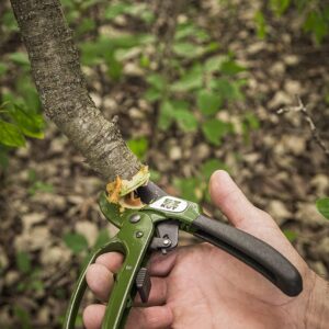 EZ Kut Heavy Duty Pruning Shears Green - Pruners Ratcheting Ratchet Hand Pruner (Green Pruner)