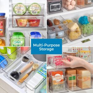 iDesign Linus Plastic Storage Bin with Handles for Kitchen, Fridge, Freezer, Pantry, and Cabinet Organization, BPA-Free, Clear