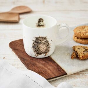 Royal Worcester Wrendale Wrendale What A Hoot Mug, Multi-Colour