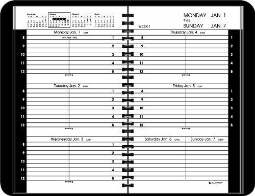 AT-A-GLANCE 2017 Weekly Appointment Book, Black, 4 7/8 x 8 Inches (70-075-05)