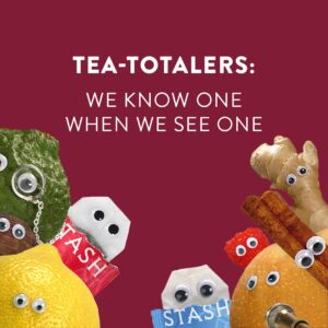 Stash Tea Fall for Autumn 6 Flavor Tea Sampler, 6 Boxes With 20 Tea Bags Each (120 Tea Bags Total)