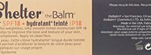 theBalm BalmShelter Silky-Smooth Tinted Moisturizer - Medium Dark