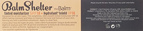 theBalm BalmShelter Silky-Smooth Tinted Moisturizer - Medium Dark