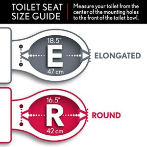 Bemis 200SLOWT 062 Toilet Seat will Slow Close, Never Loosen and Easily Remove, ROUND, Plastic, Ice Grey