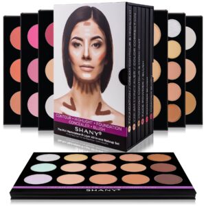 shany the mini masterpiece 6 layers foundation, concealer, camouflage, contour, blush palette