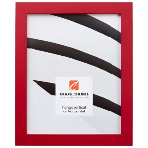 craig frames confetti, modern red picture frame, 11 x 17 inch