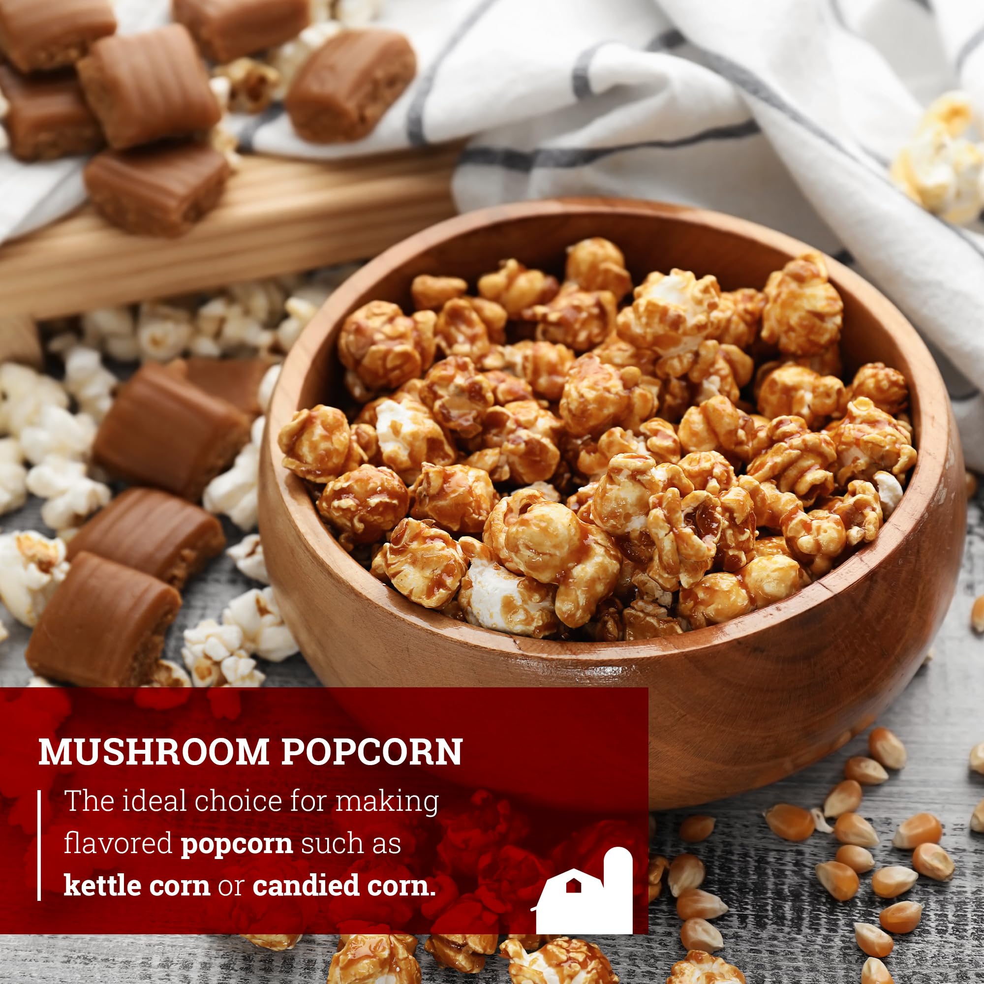 Hoosier Hill Farm Mushroom Popcorn, 4LB (Pack of 1)