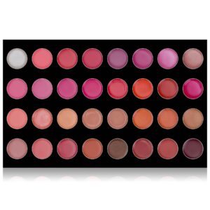 SHANY The Masterpiece 32 Color Lipstick Lip Gloss Sheer Lip Palette - THAT FIRST KISS