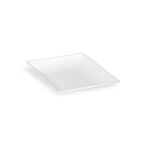 packnwood 210bchic99 - heavy-duty bio n chic mini white sugarcane plate -disposable brown plates-microwavable,party plates, dessert plates and compostable square plate “3.5 x 3.5 “ case of 100.