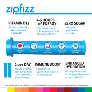 Zipfizz Energy Drink Mix, Electrolyte Hydration Powder with B12, Antioxidants, Electrolytes and Multi Vitamin, Fruit Punch (Pack of 20)