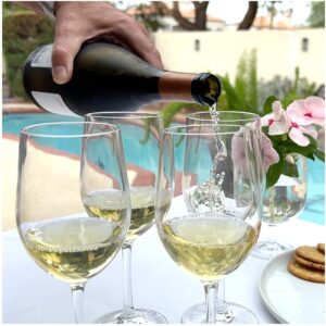 Lily's Home Unbreakable Chardonnay White Wine Glasses, Made of Shatterproof Tritan Plastic, For Indoor and Outdoor Use, Reusable and Dishwasher-Safe, Crystal Clear. 12 oz. Each, Set of 2