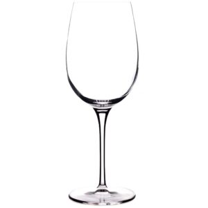 luigi bormioli styles 20 oz juicy red wine glasses (set of 2), clear