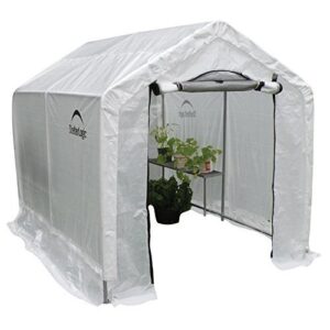 shelterLogic 70600 Greenhouse Peak Roof Style Backyard Grow House with Integrated Shelving, 6' x 8' x 6.5', Translucent