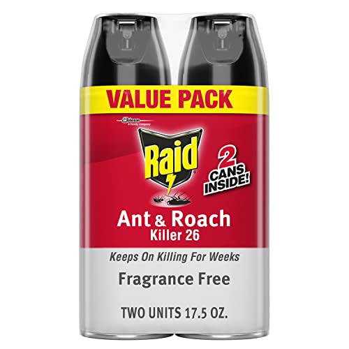 Raid® Ant & Roach Killer Spray, Fragrance-Free, 17.5 Oz, Pack Of 2