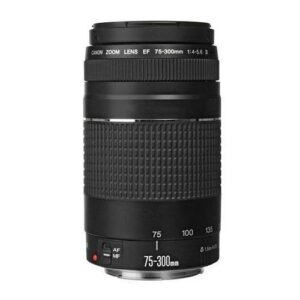 canon ef 75-300mm f/4-5.6 iii lens with prooptic 58mm filter kit