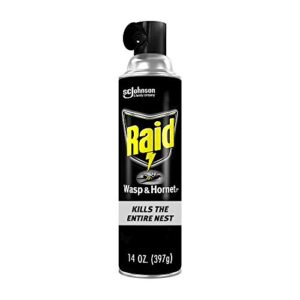 raid wasp and hornet killer spray, kills the entire nest, kills paper wasps, yellow jackets, mud daubers and more, 14 oz