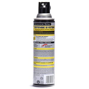 Raid Wasp and Hornet Killer Spray, Kills the entire nest, Kills Paper Wasps, Yellow Jackets, Mud Daubers and more, 14 oz