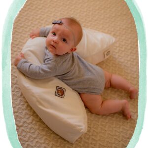 The Nesting Pillow- Organic Nursing Pillow with Washable Slipcover (Paloma)