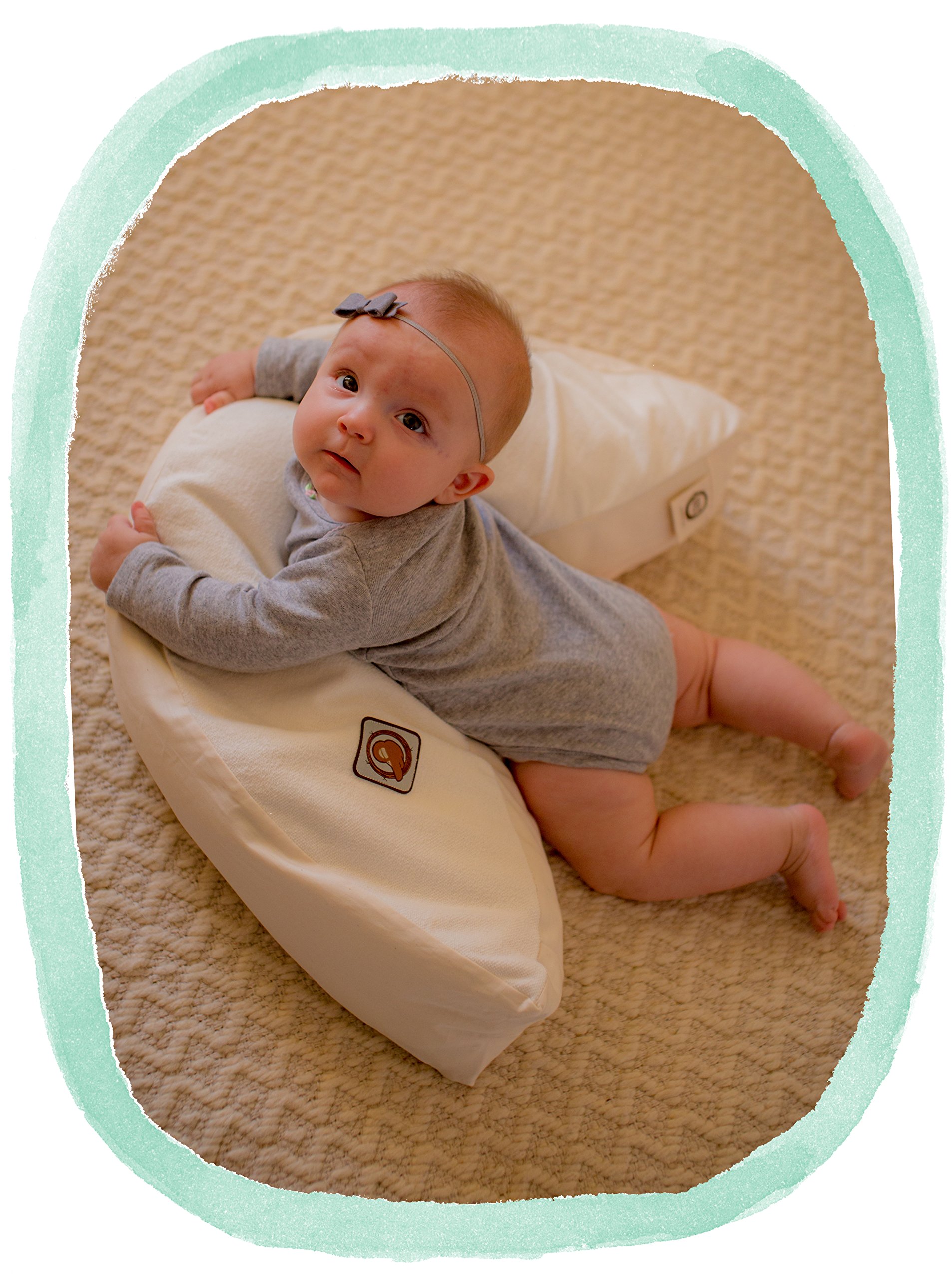 The Nesting Pillow- Organic Nursing Pillow with Washable Slipcover (Paloma)