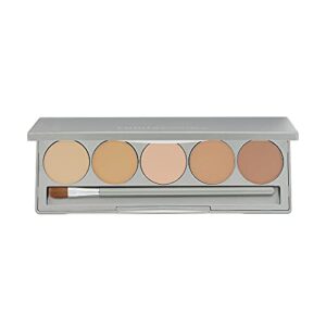 colorescience mineral corrector palette spf 20 , 1 count (pack of 1)