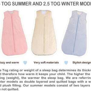 BABYINABAG Very Warm 2.5 Tog Quilted Winter Model Baby Sleep Bag or Sack, Plush Minky Dot for Infants and Toddlers (Medium (10-24 mos))