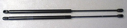 Tanning Bed Struts 28LX and 26RS 97-01 400N 20796