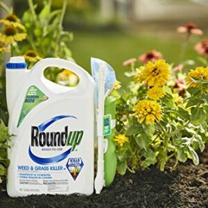 Roundup Ready-To-Use Weed & Grass Killer III -- with Sure Shot Wand, Use in & Around Vegetable Gardens, Tree Rings, Flower Beds, Patios & More, Kills to the Root, 1.33 gal.