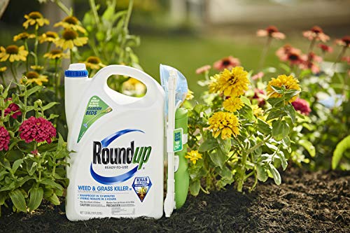 Roundup Ready-To-Use Weed & Grass Killer III -- with Sure Shot Wand, Use in & Around Vegetable Gardens, Tree Rings, Flower Beds, Patios & More, Kills to the Root, 1.33 gal.