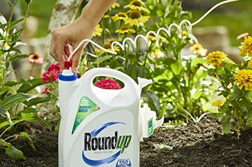 Roundup Ready-To-Use Weed & Grass Killer III -- with Sure Shot Wand, Use in & Around Vegetable Gardens, Tree Rings, Flower Beds, Patios & More, Kills to the Root, 1.33 gal.