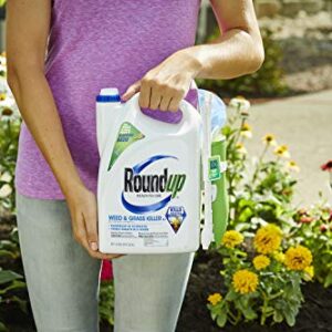 Roundup Ready-To-Use Weed & Grass Killer III -- with Sure Shot Wand, Use in & Around Vegetable Gardens, Tree Rings, Flower Beds, Patios & More, Kills to the Root, 1.33 gal.