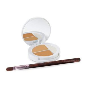 sheer cover studio – conceal and brighten highlight trio – two-toned concealers – shimmering highlighter – medium/tan shade – with free concealer brush – 3 grams