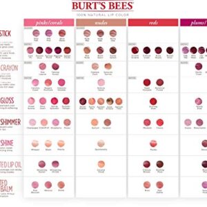 Burt's Bees 100% Natural Moisturizing Lip Gloss, Solar Eclipse, 1 Tube