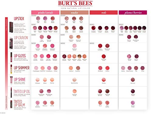Burt's Bees 100% Natural Moisturizing Lip Gloss, Solar Eclipse, 1 Tube