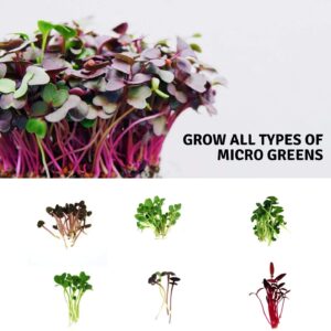 Micro-Mat Minis Hydroponic Grow Pads - for Organic Production - Plant & Seed Germination: Wheatgrass, Microgreens, More - Measures 4" x 4" to fit 5" x 5" Greenhouse Plant Trays (48)