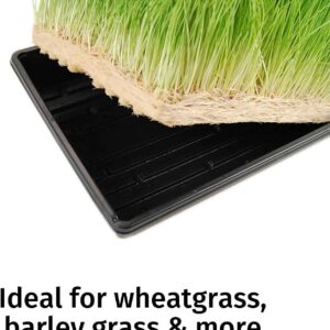 Micro-Mat Minis Hydroponic Grow Pads - for Organic Production - Plant & Seed Germination: Wheatgrass, Microgreens, More - Measures 4" x 4" to fit 5" x 5" Greenhouse Plant Trays (48)