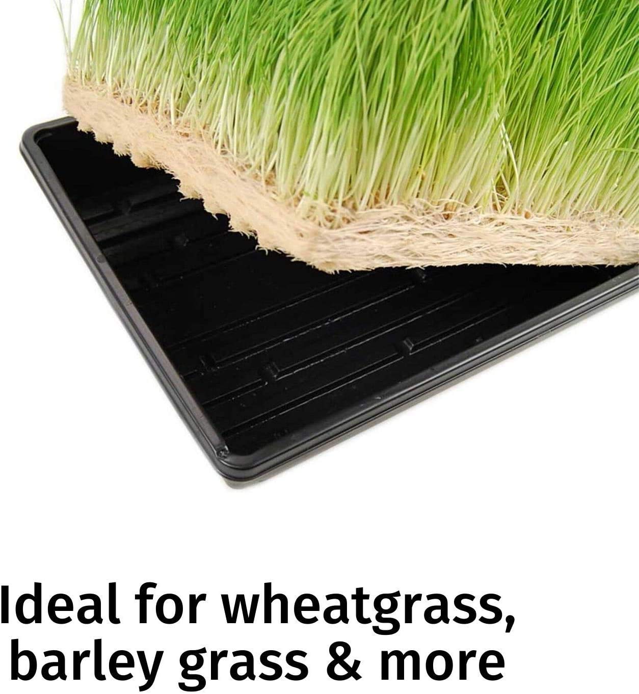 Micro-Mat Minis Hydroponic Grow Pads - for Organic Production - Plant & Seed Germination: Wheatgrass, Microgreens, More - Measures 4" x 4" to fit 5" x 5" Greenhouse Plant Trays (48)