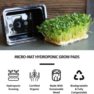 Micro-Mat Minis Hydroponic Grow Pads - for Organic Production - Plant & Seed Germination: Wheatgrass, Microgreens, More - Measures 4" x 4" to fit 5" x 5" Greenhouse Plant Trays (48)