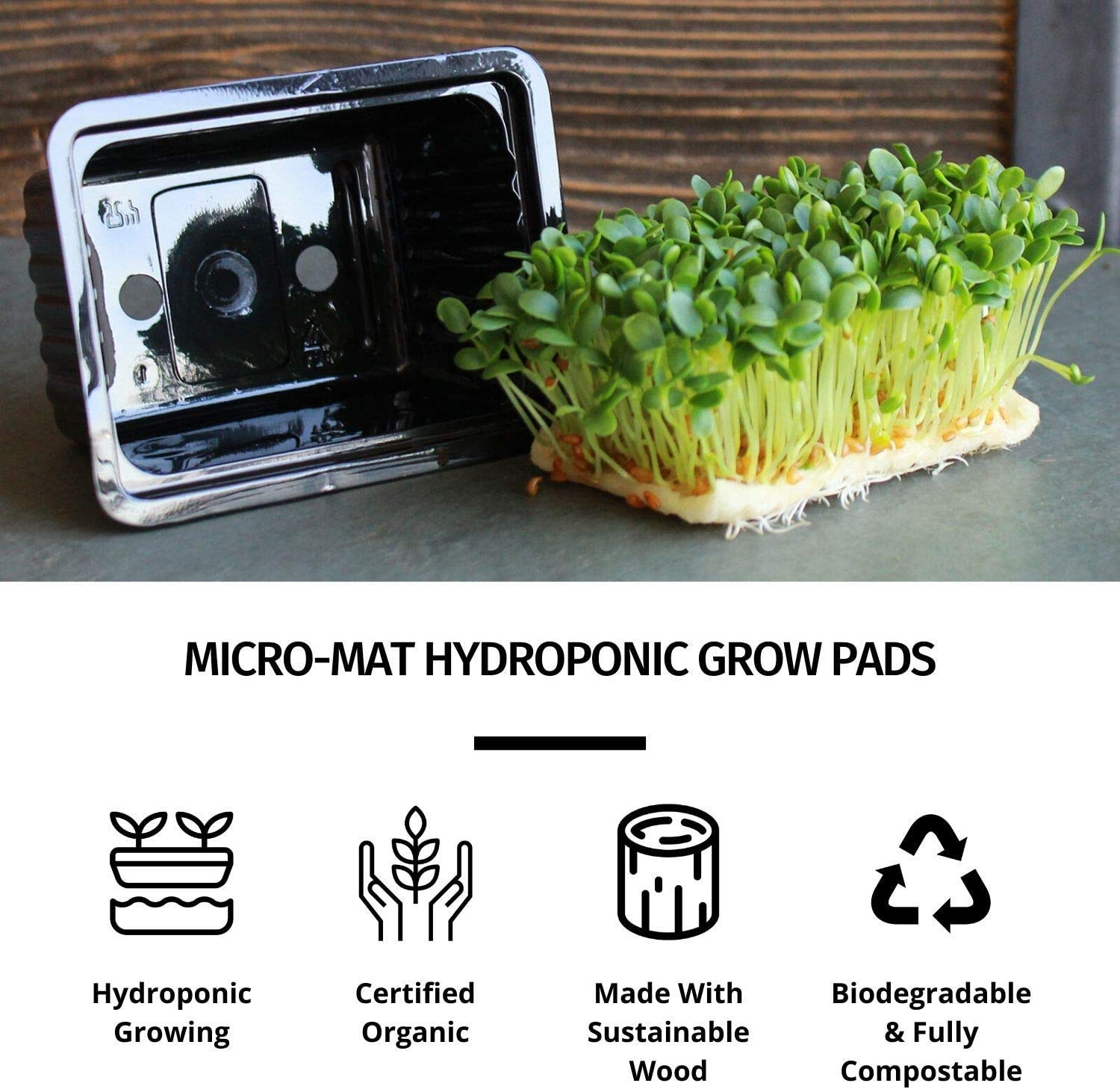 Micro-Mat Minis Hydroponic Grow Pads - for Organic Production - Plant & Seed Germination: Wheatgrass, Microgreens, More - Measures 4" x 4" to fit 5" x 5" Greenhouse Plant Trays (48)