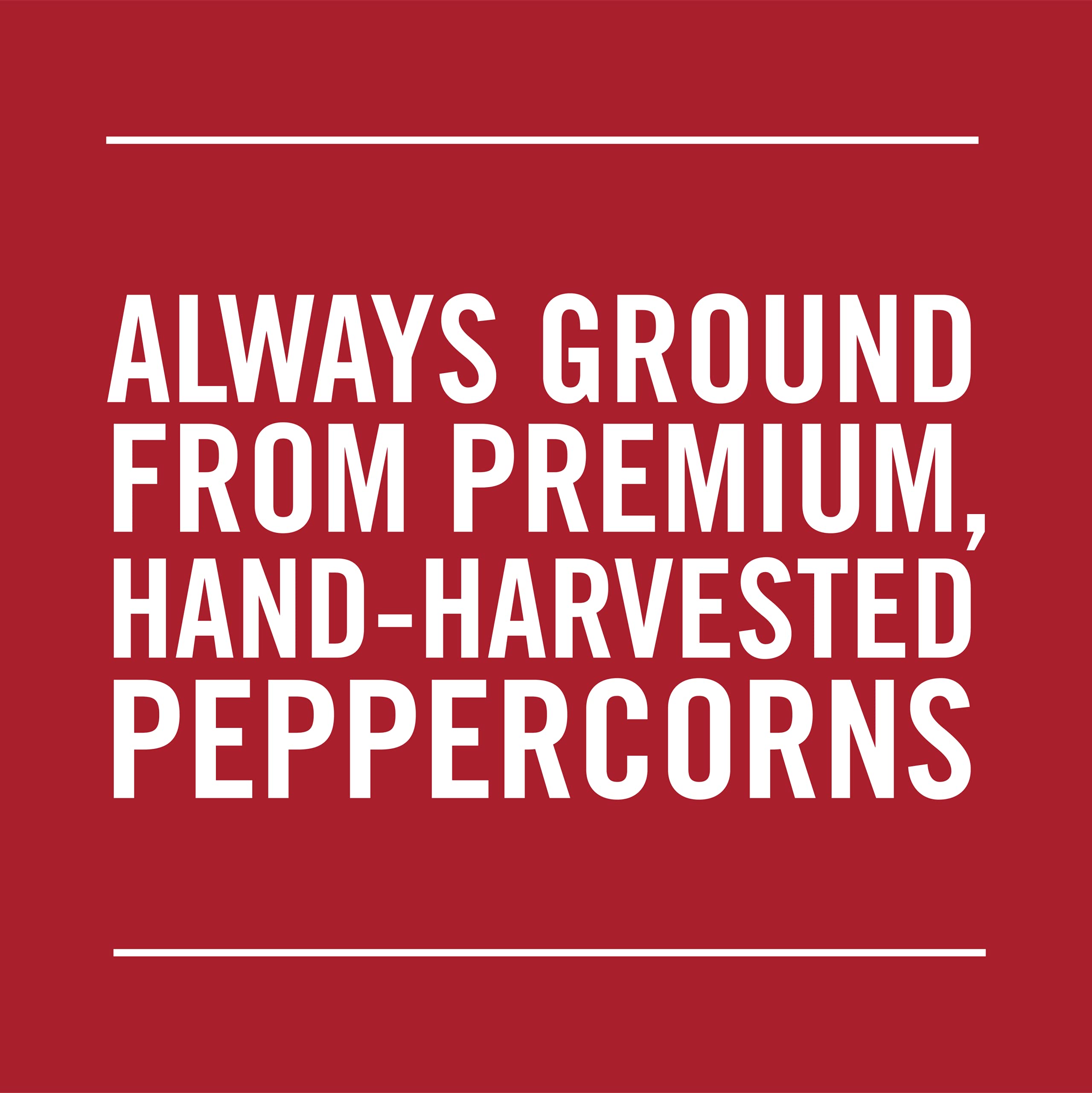 McCormick Pure Ground Black Pepper, 16 oz