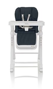 inglesina gusto folding convertible high chair for baby & toddler chair with removable tray, 4-position height adjustable, 3-position reclining seat, adjustable footrest, graphite