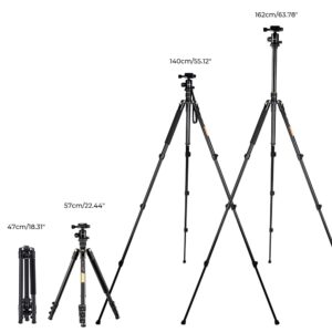 K&F Concept 64''/162cm DSLR Tripod,Lightweight and Compact Aluminum Camera Tripod with 360 Panorama Ball Head Quick Release Plate for Travel and Work B234A1+BH-28 (TM2324)