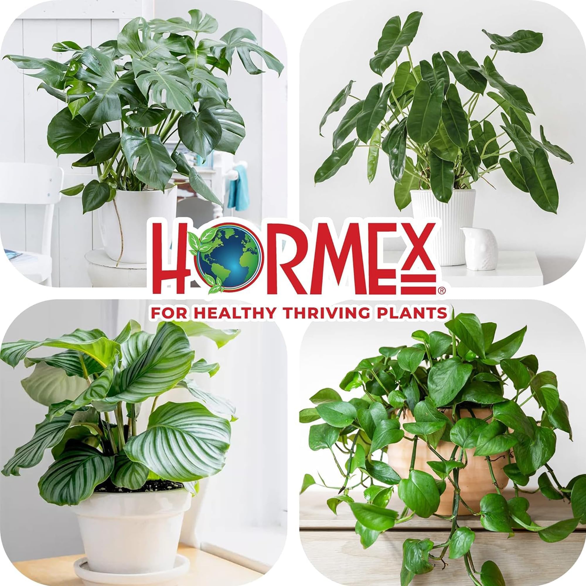 Hormex Rooting Powder #1 - for Moderately Difficult to Root Plants - 0.1 IBA Rooting Hormone for Plant Cuttings - Fast & Effective - Free of Alcohol, Dye, Gel & Preservatives for Healthier Roots, 21g