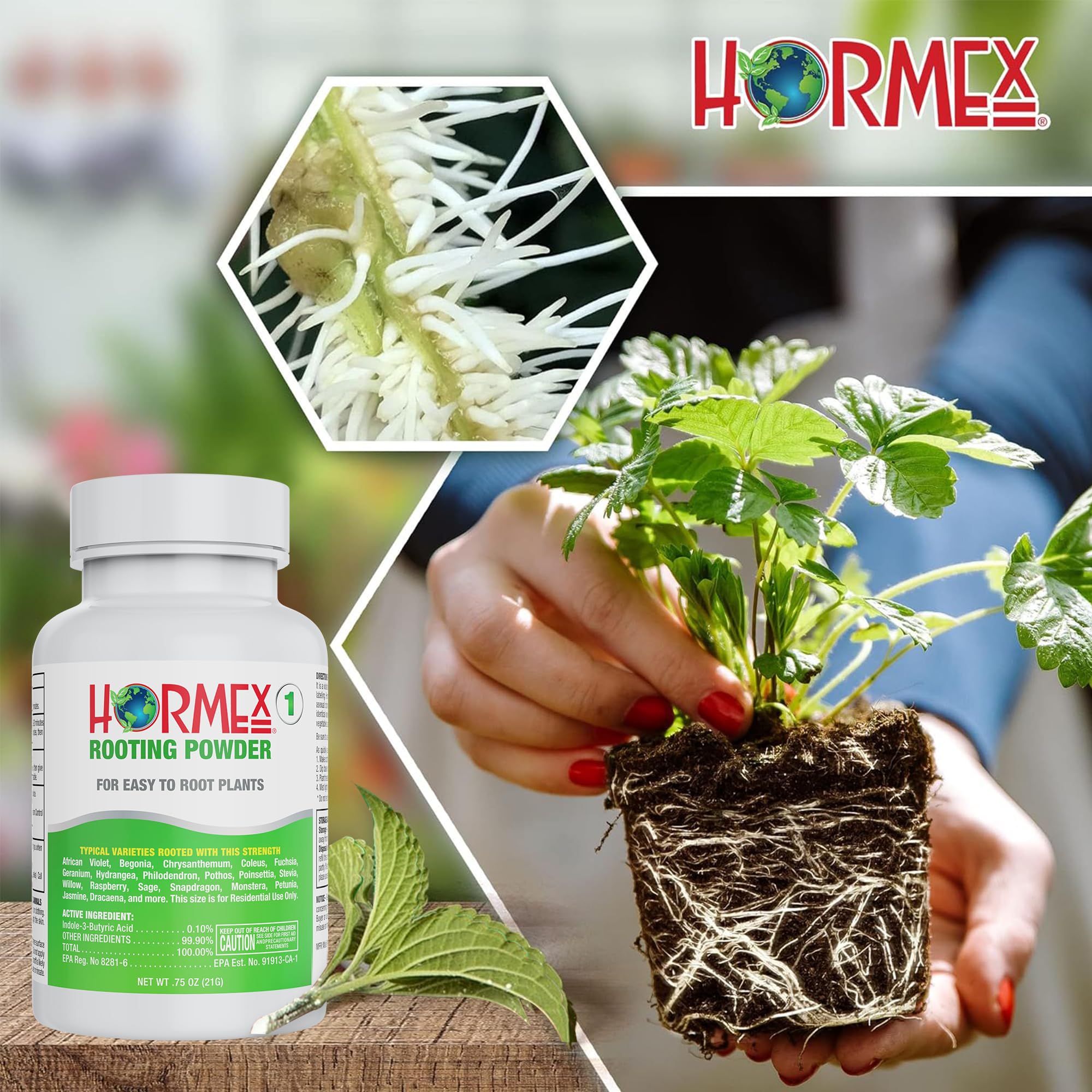 Hormex Rooting Powder #1 - for Moderately Difficult to Root Plants - 0.1 IBA Rooting Hormone for Plant Cuttings - Fast & Effective - Free of Alcohol, Dye, Gel & Preservatives for Healthier Roots, 21g