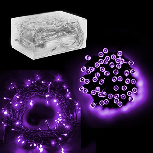 30 Mini Bulb LED Battery Operated Fairy String Lights in Purple for Valentines Day, Romantic Wedding, Home Decoration Room Lighting, Christmas, Crafts (158" inch Long String)