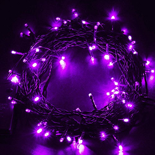 30 Mini Bulb LED Battery Operated Fairy String Lights in Purple for Valentines Day, Romantic Wedding, Home Decoration Room Lighting, Christmas, Crafts (158" inch Long String)