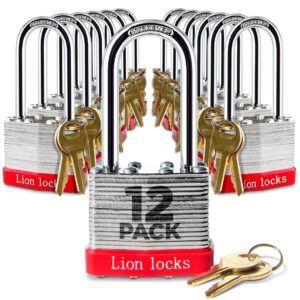 lion locks 12 keyed alike padlocks with 2" long shackle, 24 keys - padlocks for outdoor use, locks with keys, hardened steel case, pick resistant brass pin cylinder for hasp latch, locker, gate